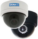Okina USA AVAI 3-AXIS Dome Color Camera 420 TVL